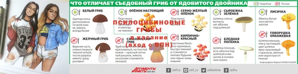 мяу мяу мука Алзамай