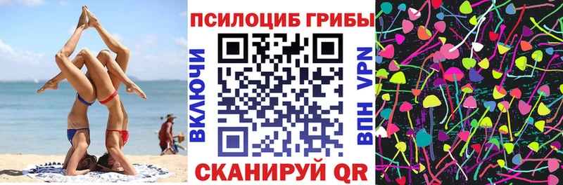 ссылка на мегу маркетплейс  продажа наркотиков  Новочеркасск  Галлюциногенные грибы MAGIC MUSHROOMS 