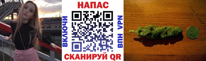 Бошки Шишки план  Новочеркасск 